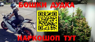 сатива Бузулук