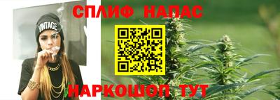 Альфа ПВП Будённовск